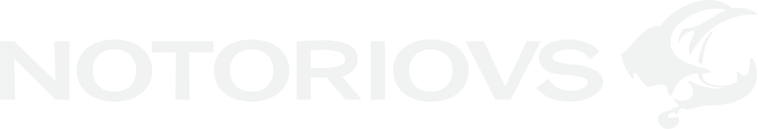 Notoriovs Studio